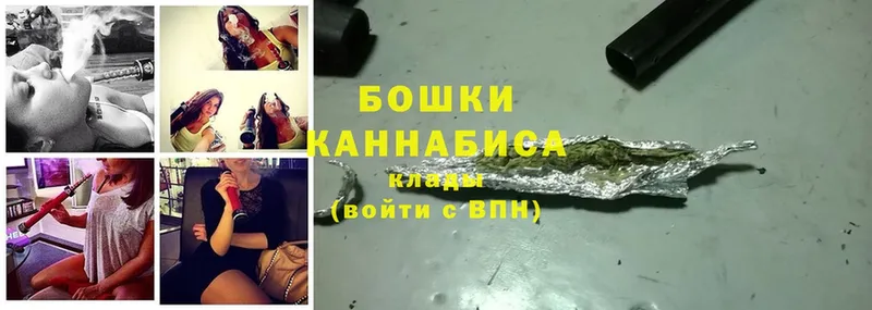 Конопля гибрид  Шагонар 